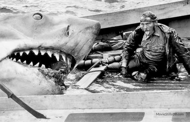 7790e31f046a7df7d03cf67fd4297a67