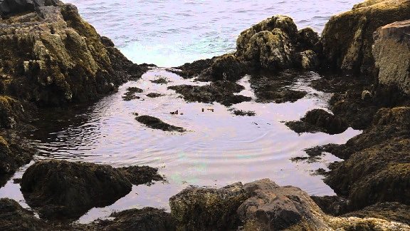 Coastline2