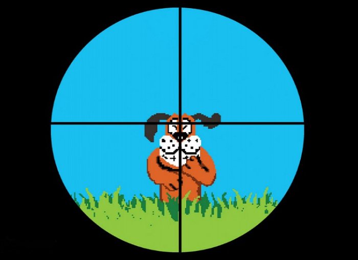 Duck Hunt