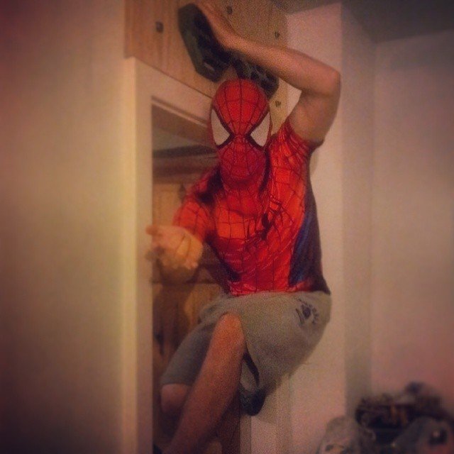 Lee_Spiderman