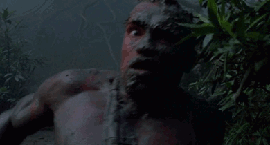 Predator gif