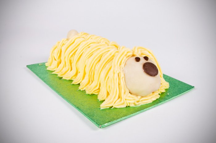 Ron_Dougal_low Dougal Magic Roundabout Cake