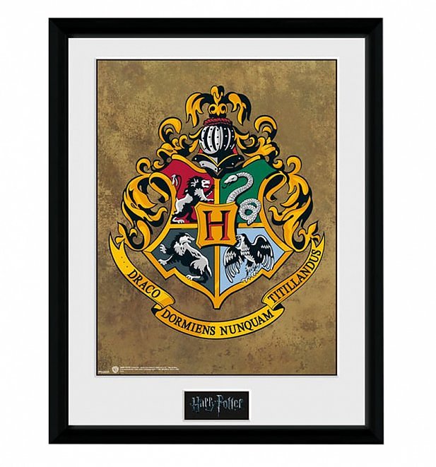 TS_Framed_Harry_Potter_Hogwarts_30x40cm_Collectors_Art_Print_14_99-617-662
