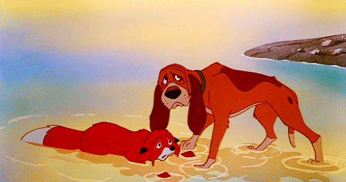 The Fox and the Hound