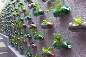 bottle-plant-pots-300x200