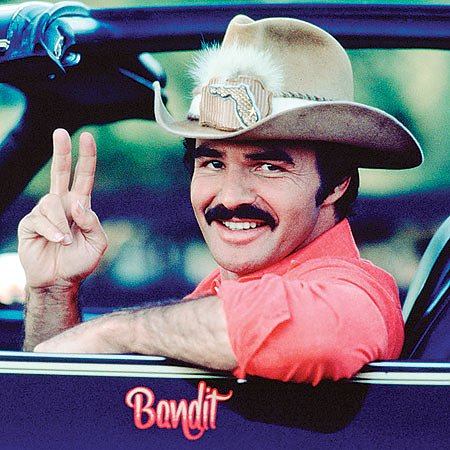 burt-moustache1