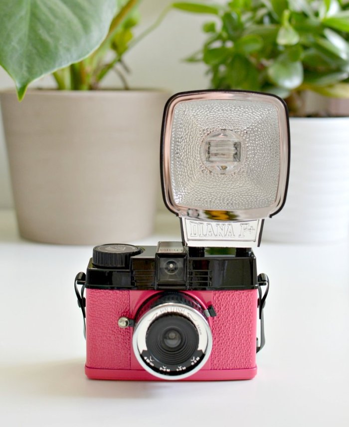 diana lomo camera truffle shuffle