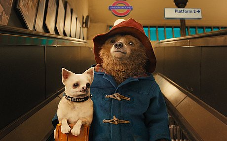 paddington-bear-mo_3058736c