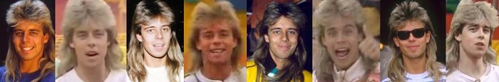 Pat Sharp's Mullet Pat Sharp's Mullet